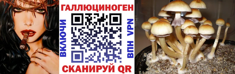 цена наркотик  Красково  Псилоцибиновые грибы Cubensis 